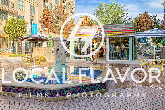 Local_Flavor_Films-Avalon_Alpharetta_GA-114