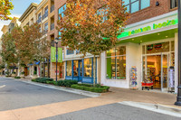 Local_Flavor_Films-Avalon_Alpharetta_GA-120