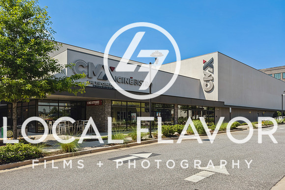 Local_Flavor_Films-Halcyon_Alpharetta_GA-112