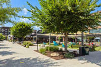 Local_Flavor_Films-Halcyon_Alpharetta_GA-118