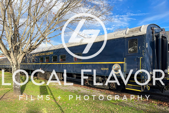 Local_Flavor_Films-Blue_Ridge_GA-101