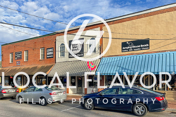 Local_Flavor_Films-Blue_Ridge_GA-104