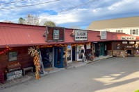 Local_Flavor_Films-Blue_Ridge_GA-110