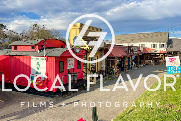 Local_Flavor_Films-Blue_Ridge_GA-109