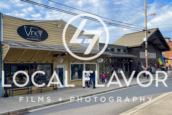 Local_Flavor_Films-Blue_Ridge_GA-113