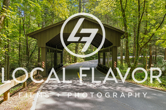 Local_Flavor_Films-Big_Canoe_Amenities_GA-102