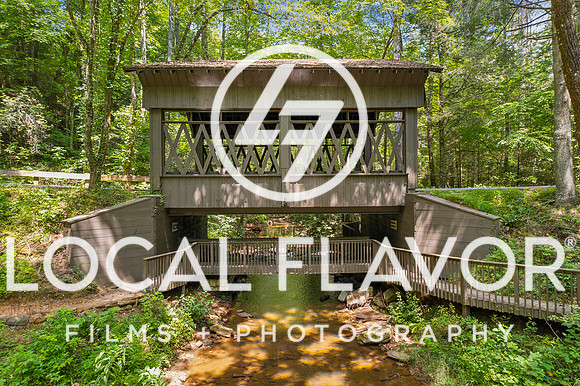 Local_Flavor_Films-Big_Canoe_Amenities_GA-103