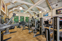 Local_Flavor_Films-Big_Canoe_Amenities_GA-113