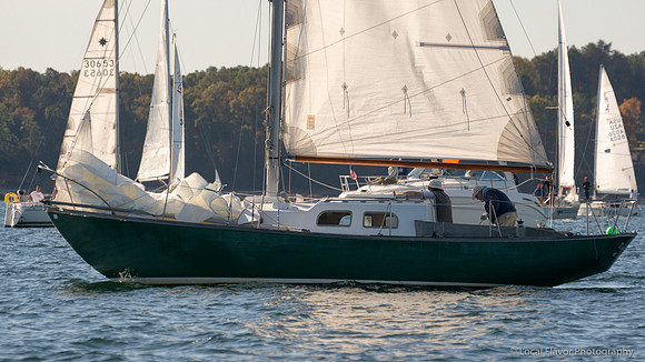 LFP1611105-1